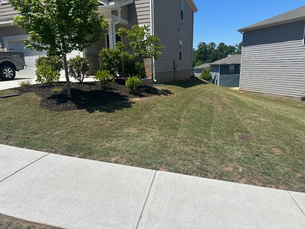 Lawn Cutting and Mulch Application - After