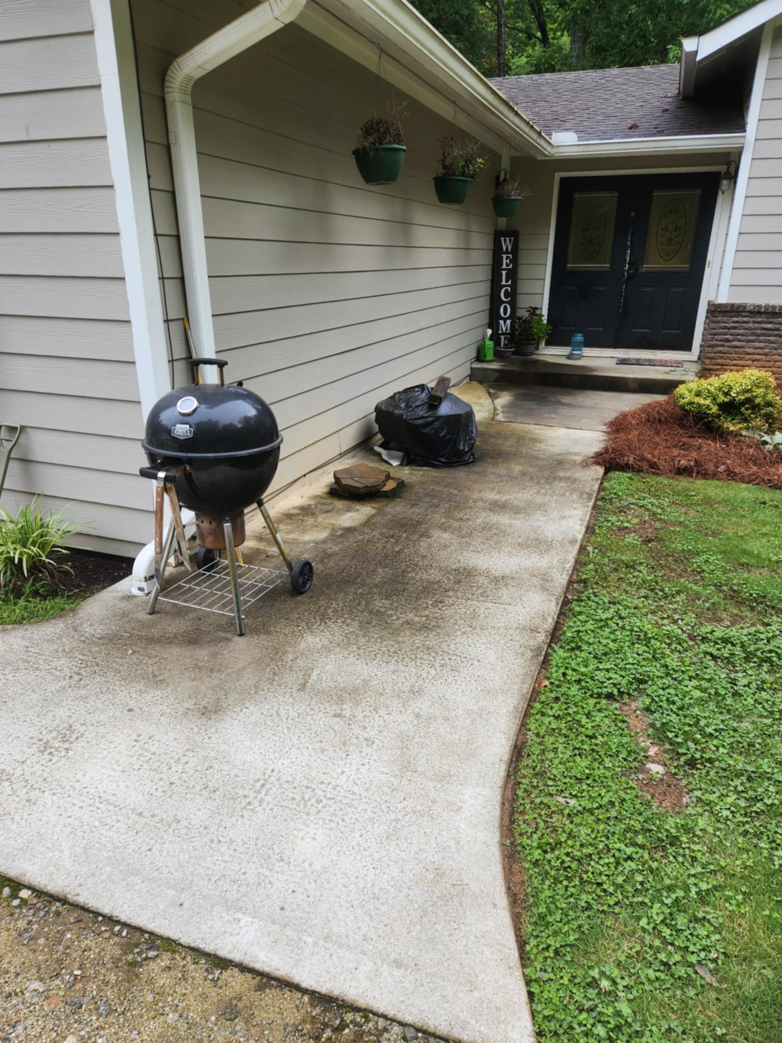 Walkway Cleaning - Before