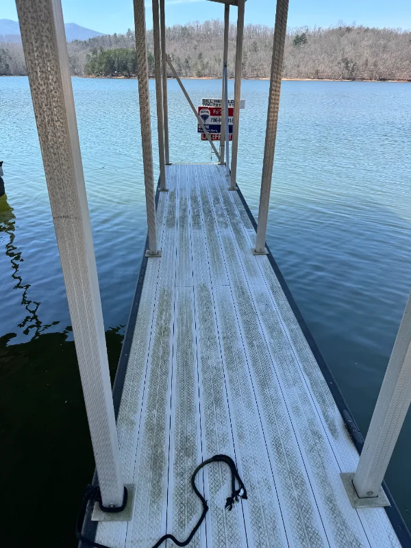 Dock Cleaning - Before