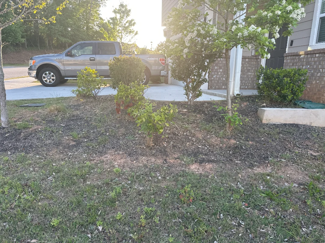 Lawn Cutting and Mulch Application - Before